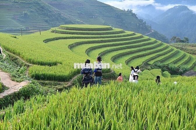 Phòng trọ cấp 4 18m2 phố Định Công Thượng