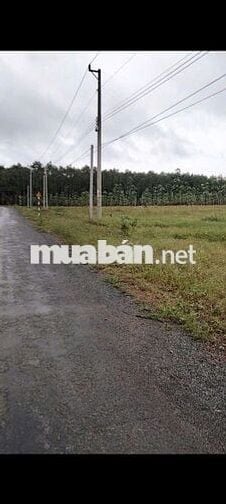 CHÍNH CHỦ Cần Bán Nhanh Lô Đất Vị Trí Huyện Đồng Phú, Tỉnh Bình Phước