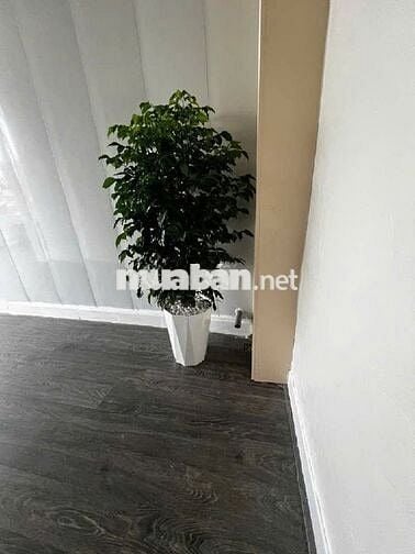 BÁN NHÀ TÂN MAI Ô TÔ ĐỖ CỬA GI.Á 6 ĐỒNG