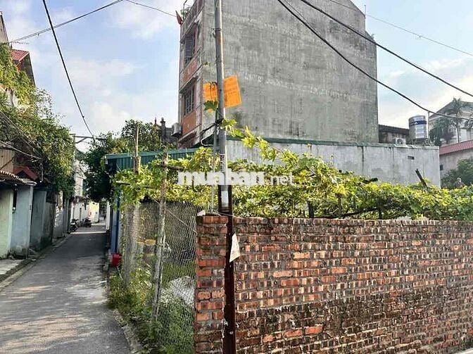 BÁN ĐẤT TẶNG NHÀ – CHỢ BÚN GIA LÂM – GIÁ CHỈ 6 TỶ XÍU BÁN ĐẤT TẶNG NHÀ – CHỢ BÚN GIA LÂM – GIÁ CHỈ 6 TỶ XÍU