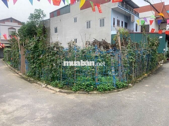 Bán Lô góc 2 mặt đường ô tô tại Ngọc Động, Bát tràng, DT: 62m2