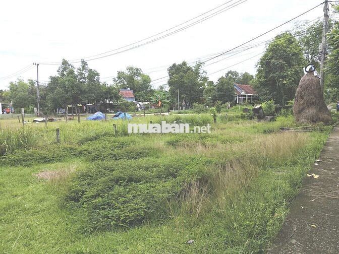 🔥 BÁN GẤP LÔ ĐẤT ĐẸP 210㎡ ĐÃ CÓ SỔ TẠI TRUNG TÂM HUYỆN PHÚ NINH 🔥