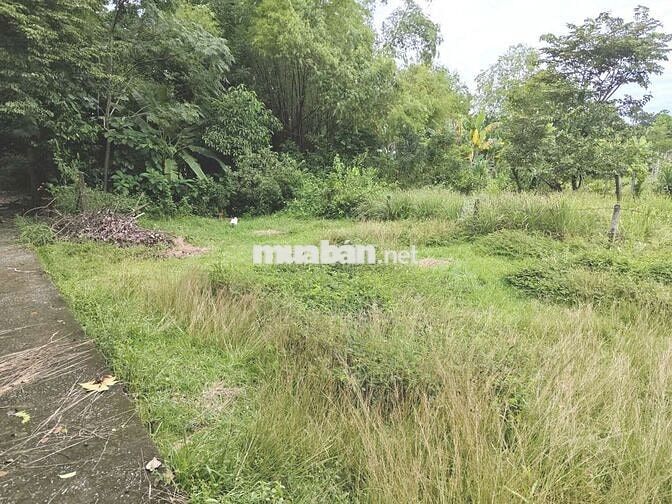 🔥 BÁN GẤP LÔ ĐẤT ĐẸP 210㎡ ĐÃ CÓ SỔ TẠI TRUNG TÂM HUYỆN PHÚ NINH 🔥