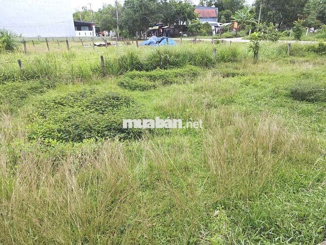 🔥 BÁN GẤP LÔ ĐẤT ĐẸP 210㎡ ĐÃ CÓ SỔ TẠI TRUNG TÂM HUYỆN PHÚ NINH 🔥