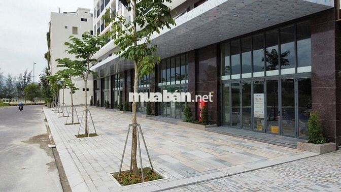 CHO THUÊ MẶT BẰNG RIÊNG BIỆT CT2 VCN PHƯỚC LONG GIÁ 15 TRIỆU/THÁNG
