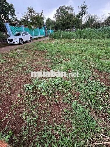 Bán GẤP 280m2 Đất THỔ CƯ VIEW NÚI CHỨA CHAN Xuân Lộc Tỉnh Đồng Nai