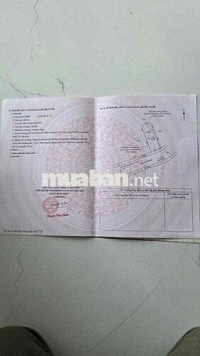 MẶT TIỀN TÔ VĨNH DIỆN TP CẦN THƠ