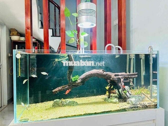 🔥NHÀ ĐẸP - 34M - GIÁ TỐT - MẶT TIỀN 4.15M - GẦN ĐƯỜNG Ô TÔ