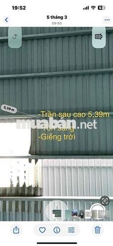 cho thuê nhà trệt nguyên căn mặt tiền 133,5 m2