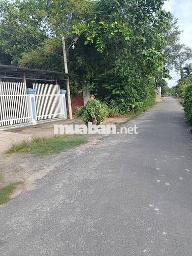 Cần bán gấp căn nhà ở 1/ Đ. Hồ Văn Tắng , Củ Chi 189m2 SHR giá 980tr
