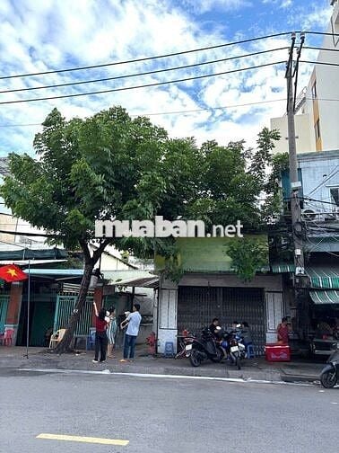 MẶT BẰNG NGUYÊN CĂN TÂN BÌNH KD TỰ DO (4,2x18)
