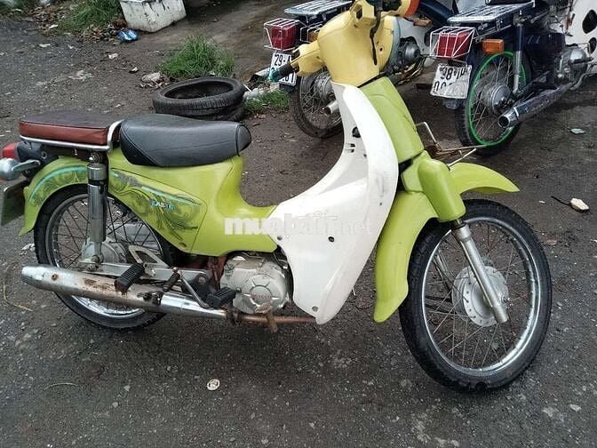 Cup 50cc