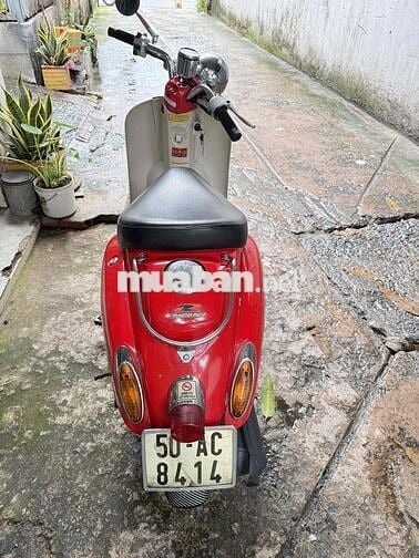 Honda crea 50 nội địa nhật
