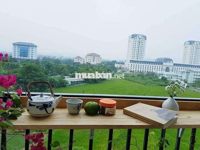 Bán Căn Hộ Chung cư Vicoland Khu B Đã Có Sổ Hồng Sang Tên Thuận Tiện