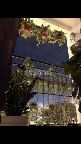 Bán căn hộ Blue House Ngô Quyền, gần cầu Trần Thị Lý, Sơn Trà 2.6 tỷ