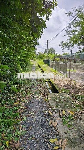 LÔ ĐẤT 2 MẶT TIỀN ĐƯỜNG BASA SIÊU ĐẸP, 365M2 FULL THỔ, CHỈ HƠN 10TR/M