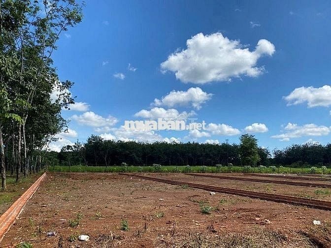 15X45 GIÁ RẺ ĐẤT XÂY TRỌ NGAY TRUNG TÂM BECAMEX CHƠN THÀNH
