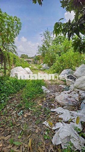 LÔ ĐẤT 2 MẶT TIỀN ĐƯỜNG BASA SIÊU ĐẸP, 365M2 FULL THỔ, CHỈ HƠN 10TR/M