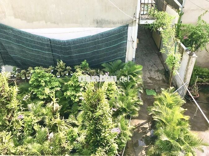 Nhà nguyên căn 60m2 317 đường số 8 phường 11 Gò Vấp HCM