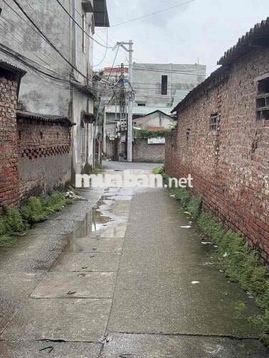 💥ĐẤT VÀNG ĐẠI MẠCH - GIÁ HỢP LÝ – Ô TÔ GẦN – SÁT CÔNG VIÊN💥