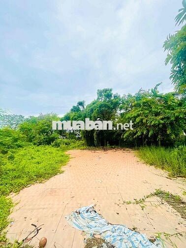 BÁN ĐẤT 4 MẶT TIỀN KINH DOANH LÔ GÓC 2 NỀN KDC VIP, ĐƯỜNG VÕ VĂN KIỆT