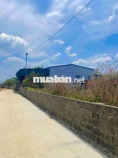 Khu dân cư, gần các tiện ích. Lên bmt 11km. 10×44. Nở hậu.