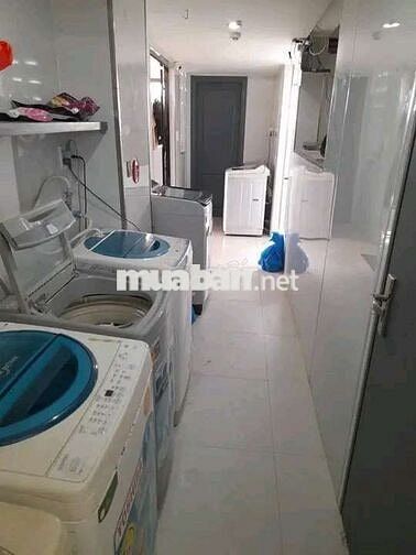 Cho thuê căn studio ngay gần cầu rồng, Nguyễn Văn Linh