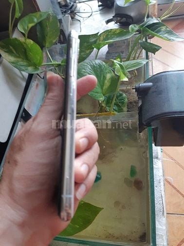 Bán iphone X256G màu trắng quốc tế zin 