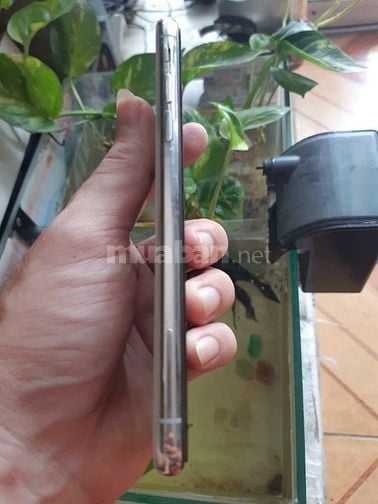 Bán iphone X256G màu trắng quốc tế zin 