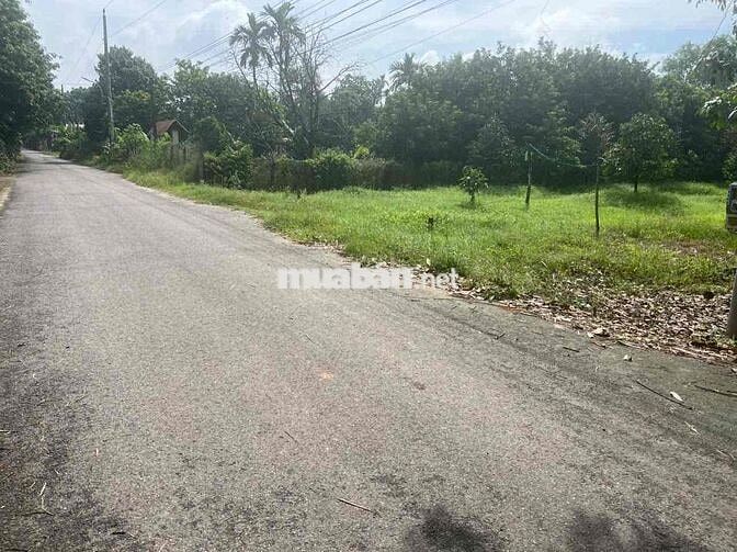 Cần bán đất nền 750m2 có thổ cư giá 12 tỷ
