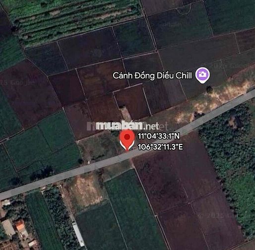 Cần bán đất nền 750m2 có thổ cư giá 12 tỷ