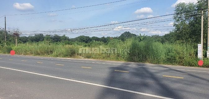 Bán gấp 300m2 thổ cư đường nhựa HL 605 32m Ngay KCN Mỹ Phước 3 