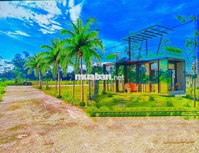 1000m đât viêt tay. đg 602. hoà ninh.