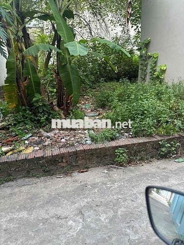 🔥 Bán đất thổ cư tại Nam Hồng – Phúc Thịnh 🔥  • Diện tích: gần50m2 (fu