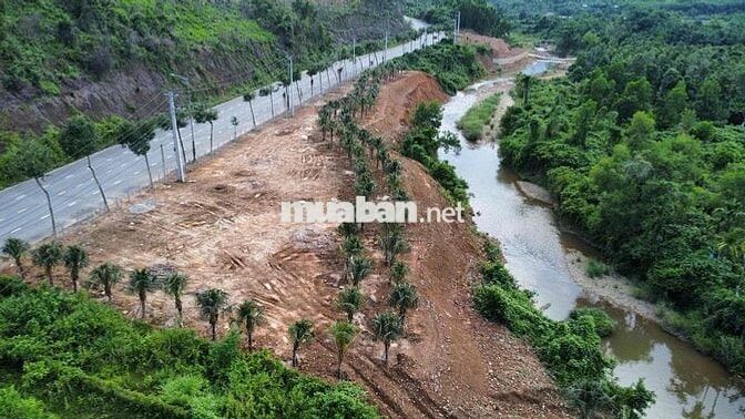 1000m đât viêt tay. đg 602. hoà ninh.