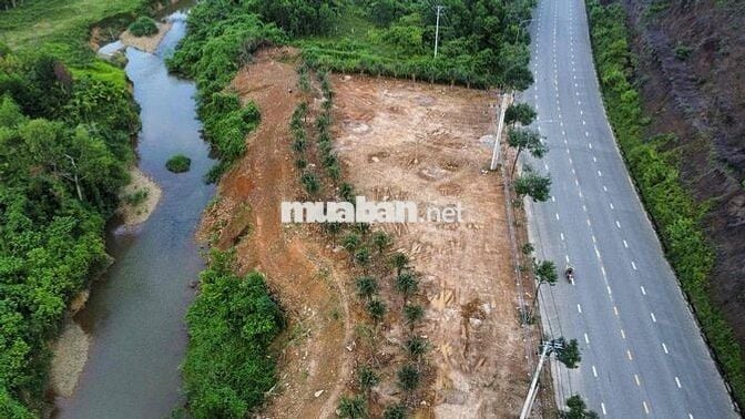 1000m đât viêt tay. đg 602. hoà ninh.