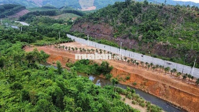 1000m đât viêt tay. đg 602. hoà ninh.