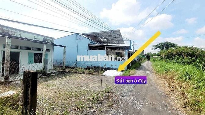 Bán gấp .Đất ngay  kế chợ Cần Giuộc . Mặt tiền đường 7m