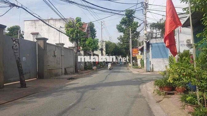 Đất 8x14m Shr, Góc 2MT đg nhựa 10m thông 1/100m Phan Văn Hớn Bà Điểm