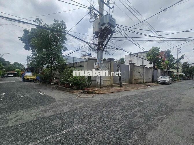MT Đường 8m nhựa kinh doanh đa ngành cách Phan Văn Hớn chỉ 50m
