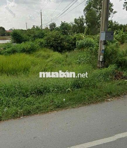 CẦN BÁN GẤP ĐẤT MẶT TIỀN QL 50