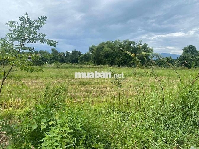 Cần bán lô đất view đồng tại Yến Nê Hòa Tiến