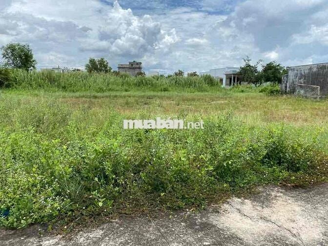 ĐẤT ĐẸP – VỊ TRÍ VÀNG NGAY QL50 – CỔNG CHÀO CẦN ĐƯỚC
