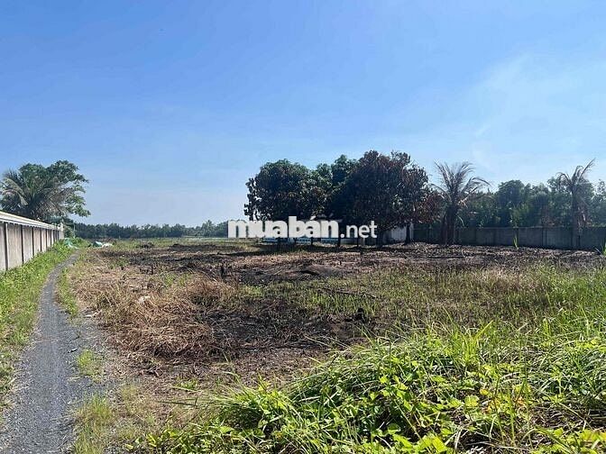 ĐẤT MẶT TIỀN SÔNG - KẾT NỐI GIAO THÔNG - 4200m2 - LONG HỰU ĐÔNG CẦN ĐƯ