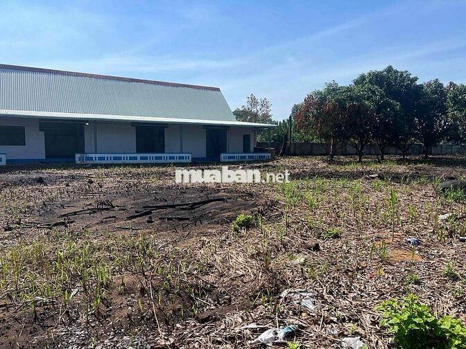 ĐẤT MẶT TIỀN SÔNG - KẾT NỐI GIAO THÔNG - 4200m2 - LONG HỰU ĐÔNG CẦN ĐƯ