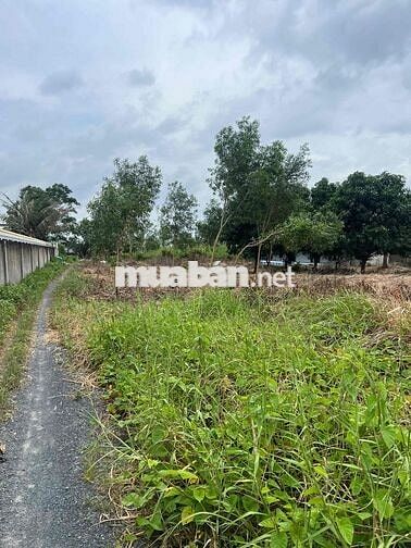 ĐẤT MẶT TIỀN SÔNG - KẾT NỐI GIAO THÔNG - 4200m2 - LONG HỰU ĐÔNG CẦN ĐƯ