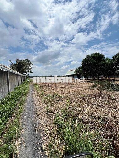ĐẤT MẶT TIỀN SÔNG - KẾT NỐI GIAO THÔNG - 4200m2 - LONG HỰU ĐÔNG CẦN ĐƯ