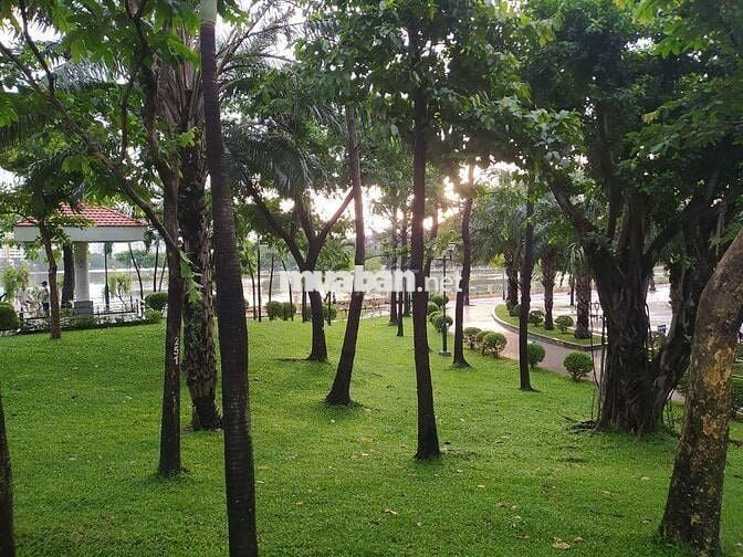 Nhà cho thuê nguyên căn tiện ở và kinh doanh