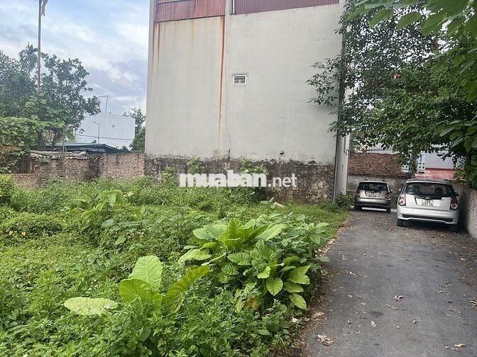 ĐẤT CỔ LOA NGÕ THÔNG Ô TÔ TRÁNH, GẦN VINHOME, GIÁ TỐT.