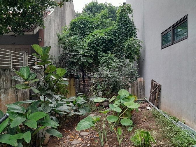 BÁN ĐẤT NGÕ 562 NGỌC THỤY, LONG BIÊN, HÀ NỘI.